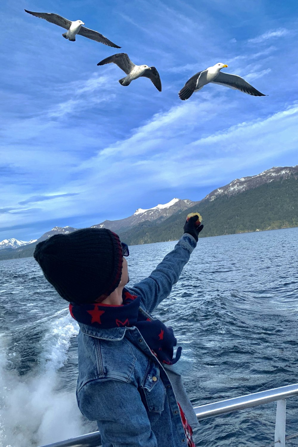 a person on a boat looking at seagulls in the sky