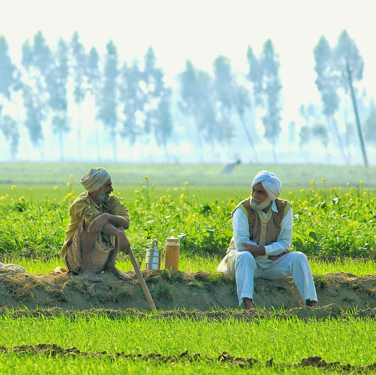 Middlemen in Indian Agriculture
