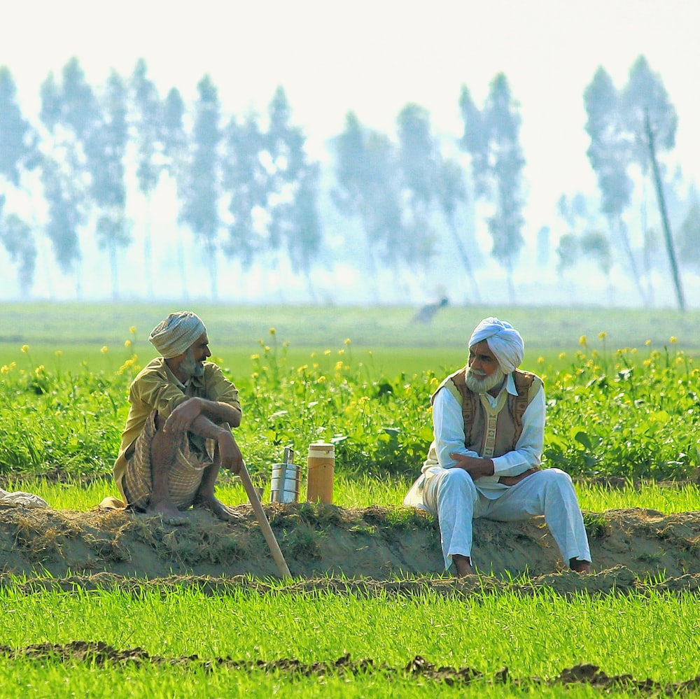 a couple of men sitting on top of a lush green field