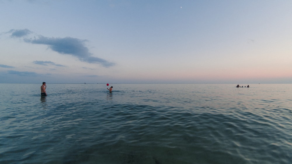 people enjoying swimming on beach