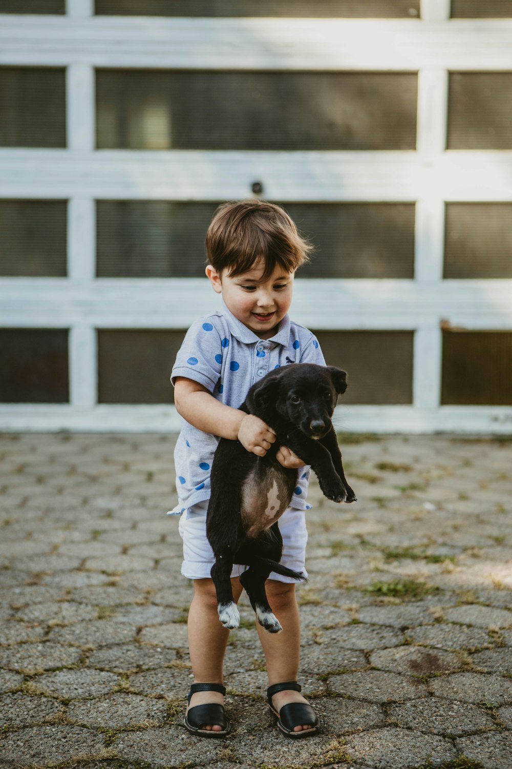 toddler boy standing and holding puppy