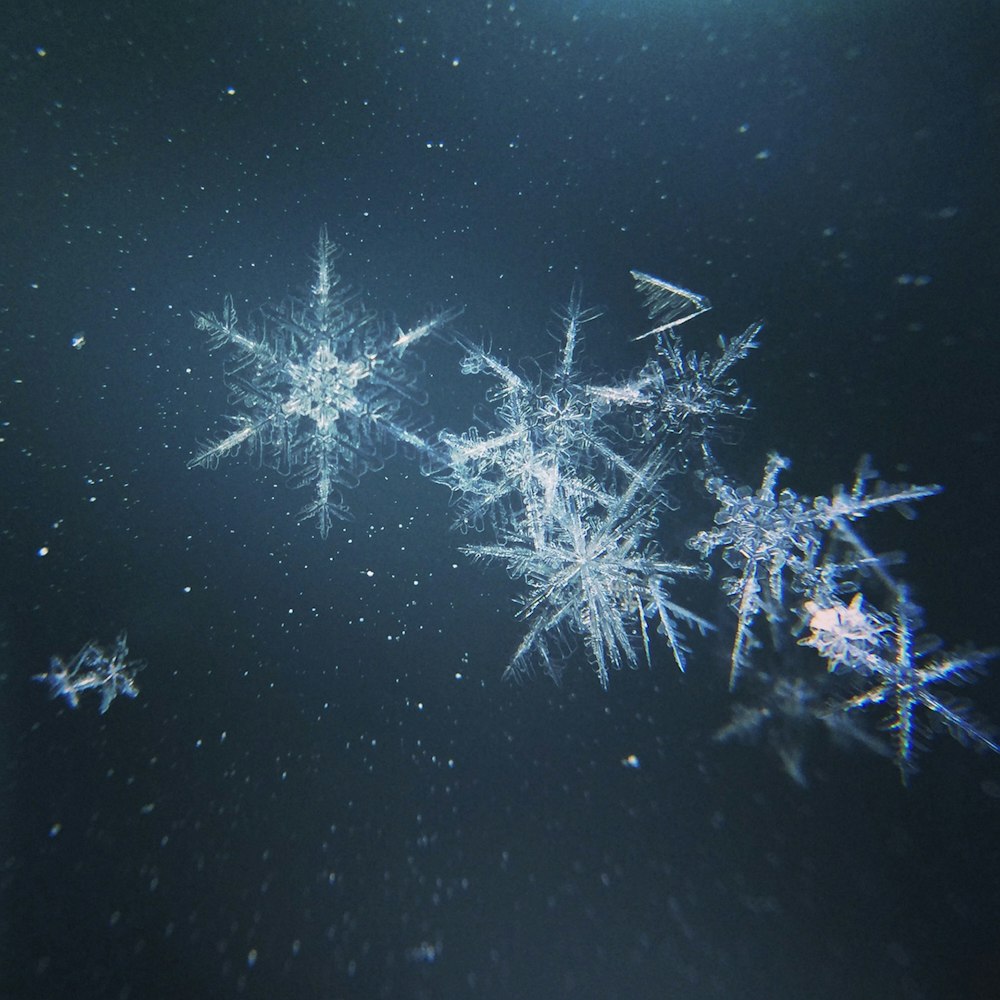 a group of snowflakes floating in the air