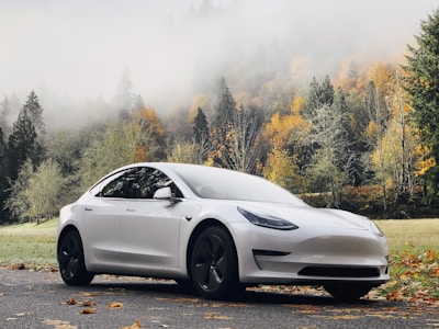 White electric vehicle driving on a scenic road with green trees.