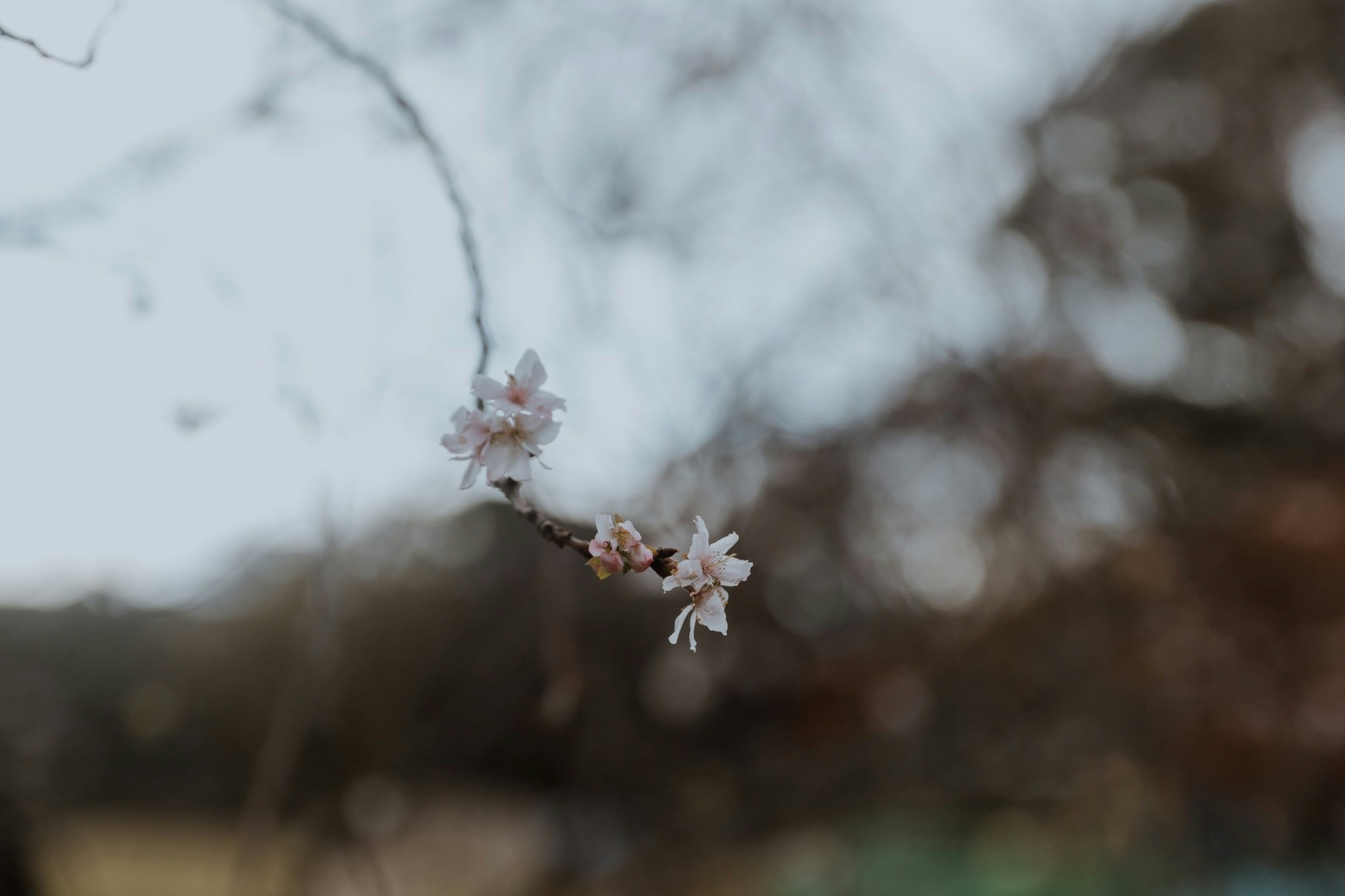 Photo by detectivenerd