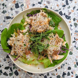 A white plate is filled with a fresh and vibrant salad featuring a bed of green lettuce leaves topped with shredded chicken, crunchy vegetables like purple cabbage, and a generous serving of alfalfa sprouts. The dish is garnished with microgreens and appears to be drizzled with a light dressing. The plate rests on a terrazzo countertop with various shades of black, gray, and beige.