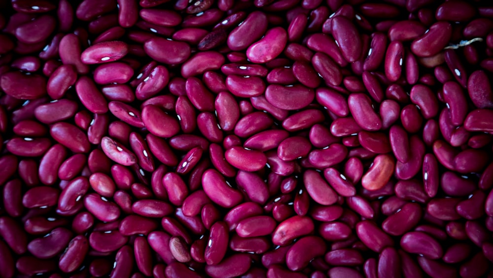 purple bean lot