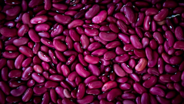 Purple bean lot
