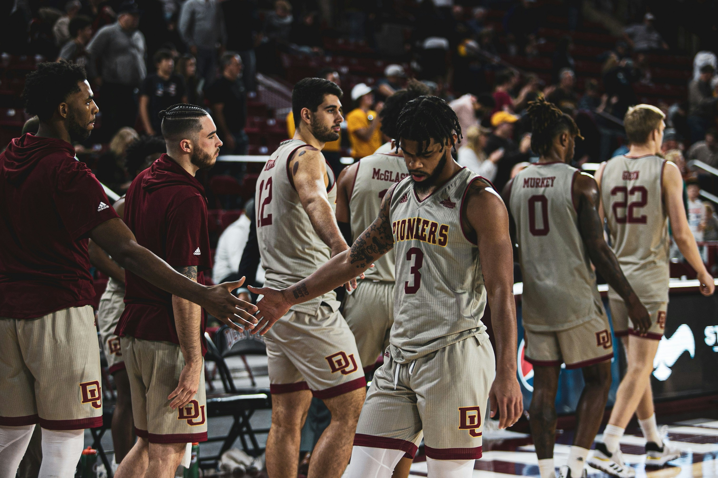Jugadores suplentes celebrando durante un partido de baloncesto