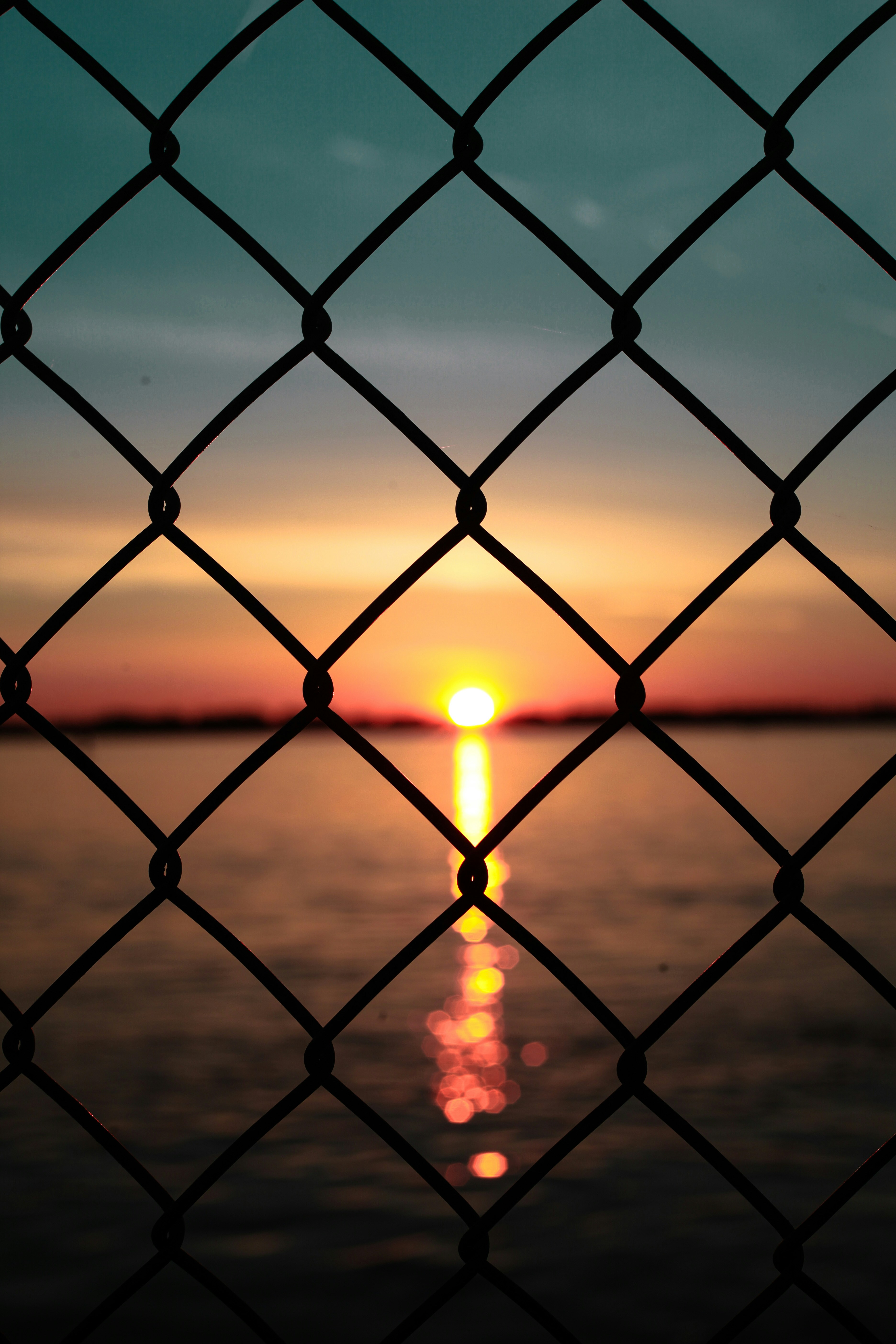 Photo by travis_ridings