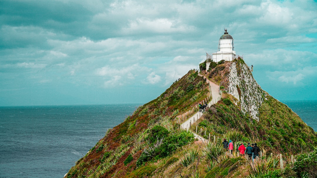 Travel Tips and Stories of Nugget Point Lighthouse in New Zealand
