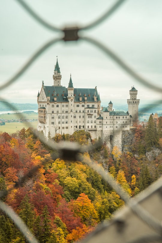 shallow focus photo of white castle in Neuschwanstein Castle Germany