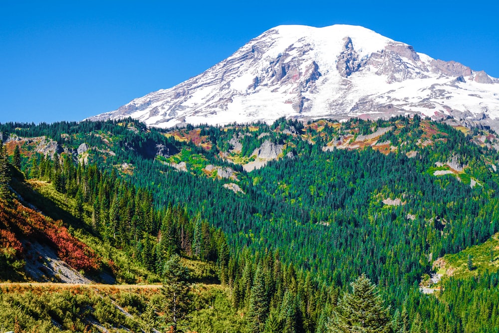 mountain covered with snow