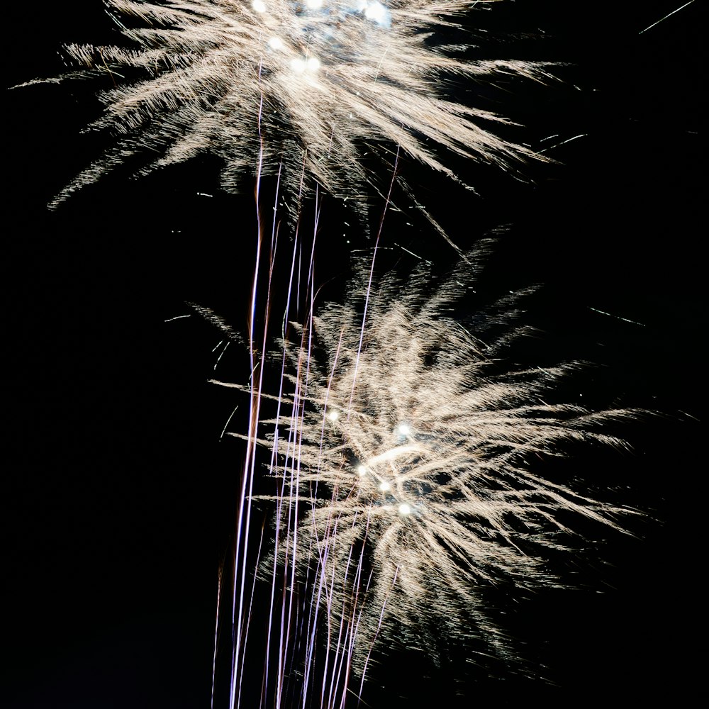 burst of fireworks