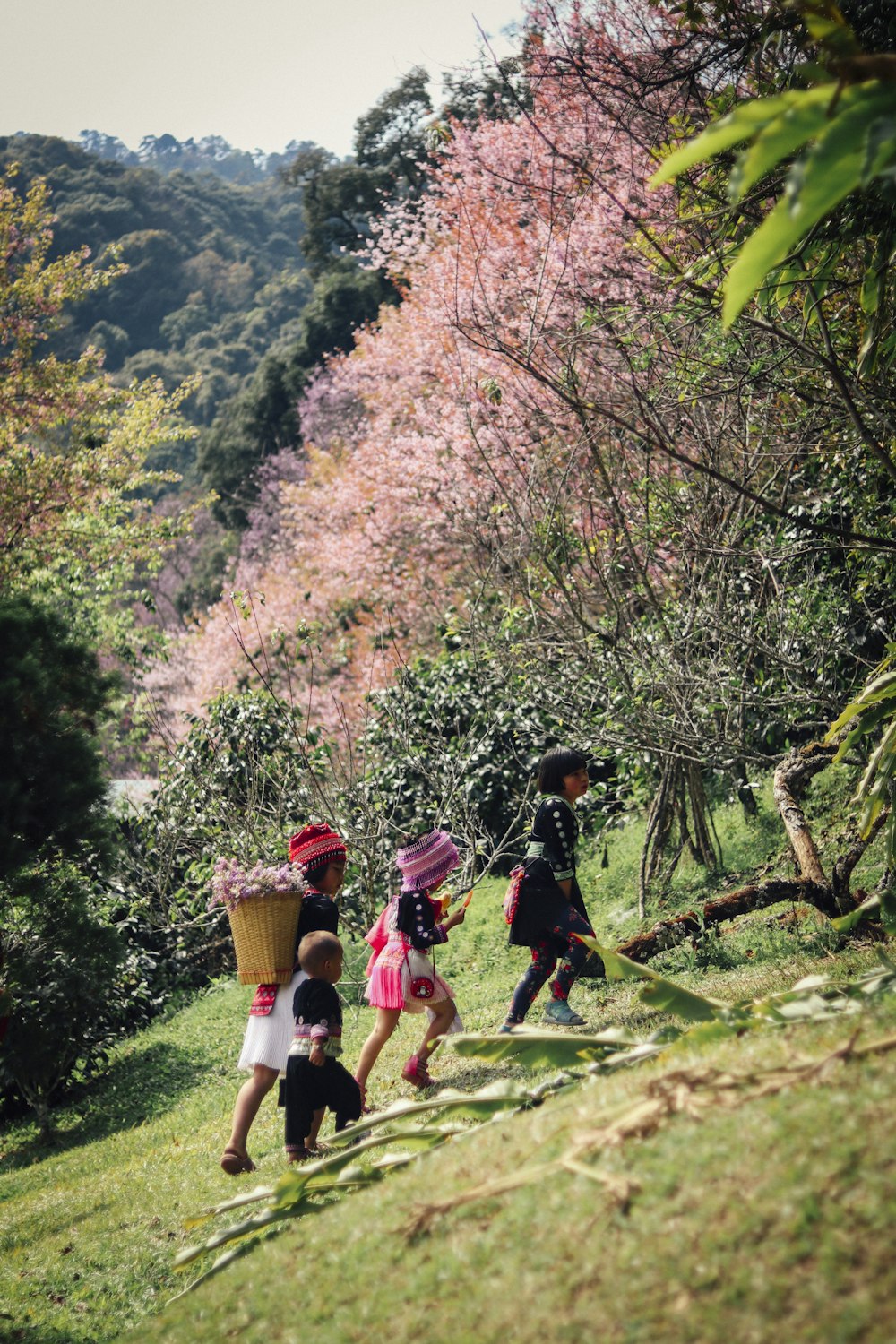 children in forest