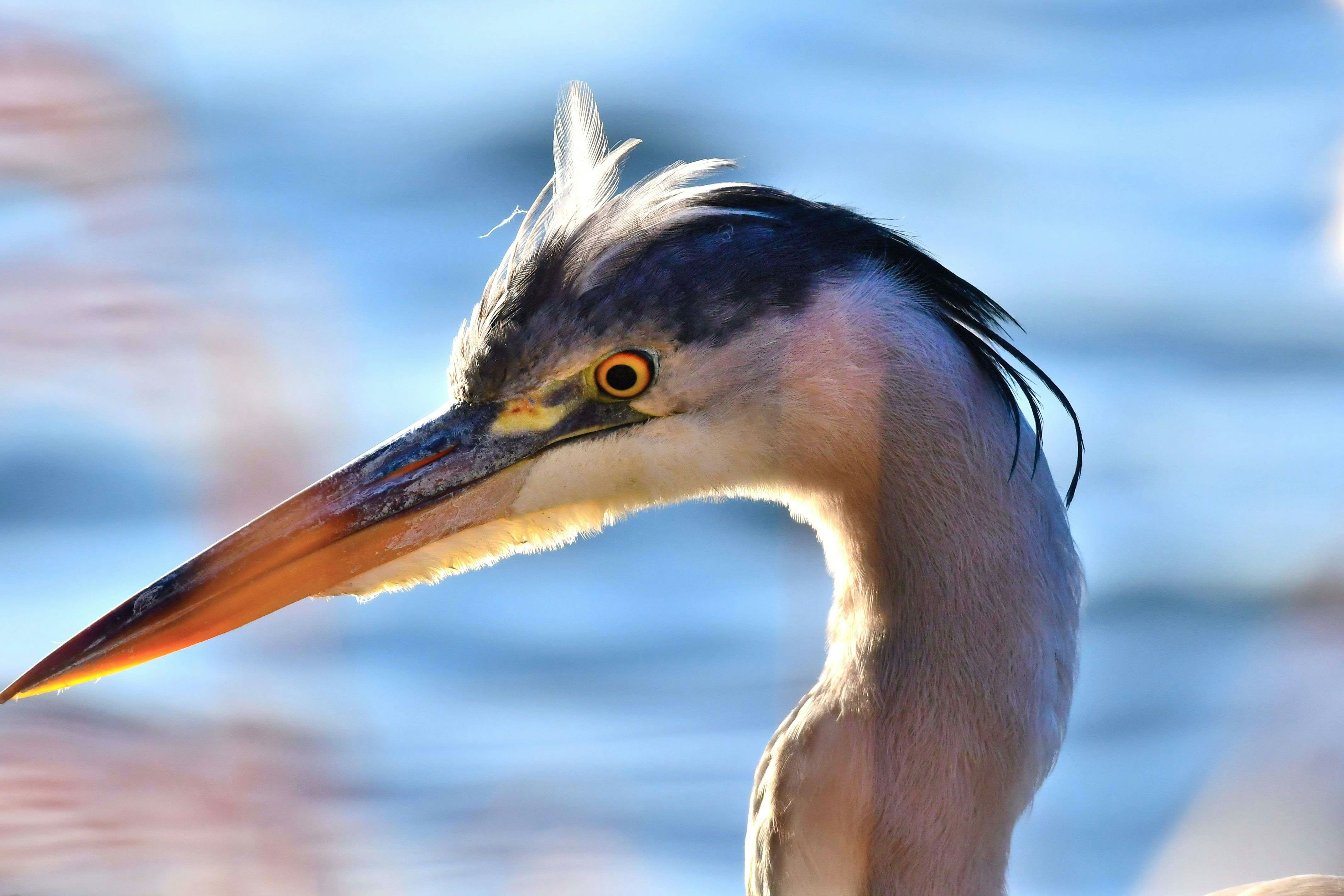 Photo by robyourduck