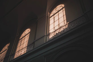 Close-up of a craftsman fitting crown molding above a window with natural light streaming in.