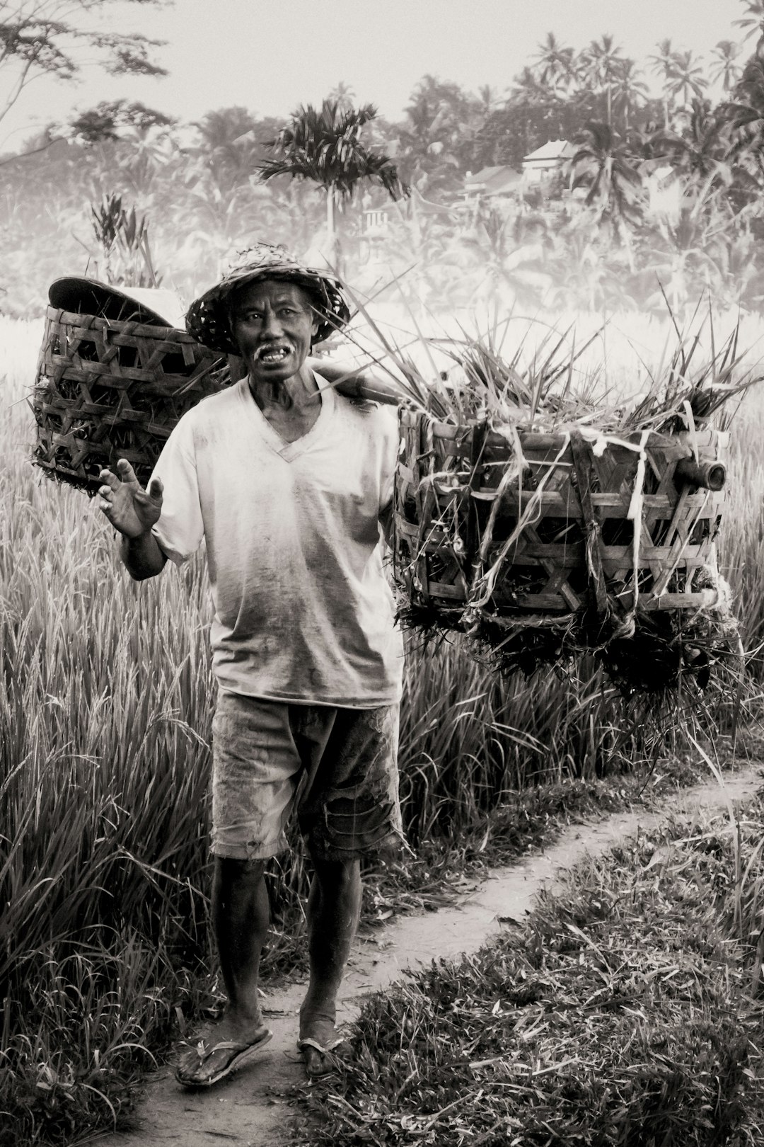 grayscale photography of man wearing V-neck t-shirt holding basket while standing near rice field