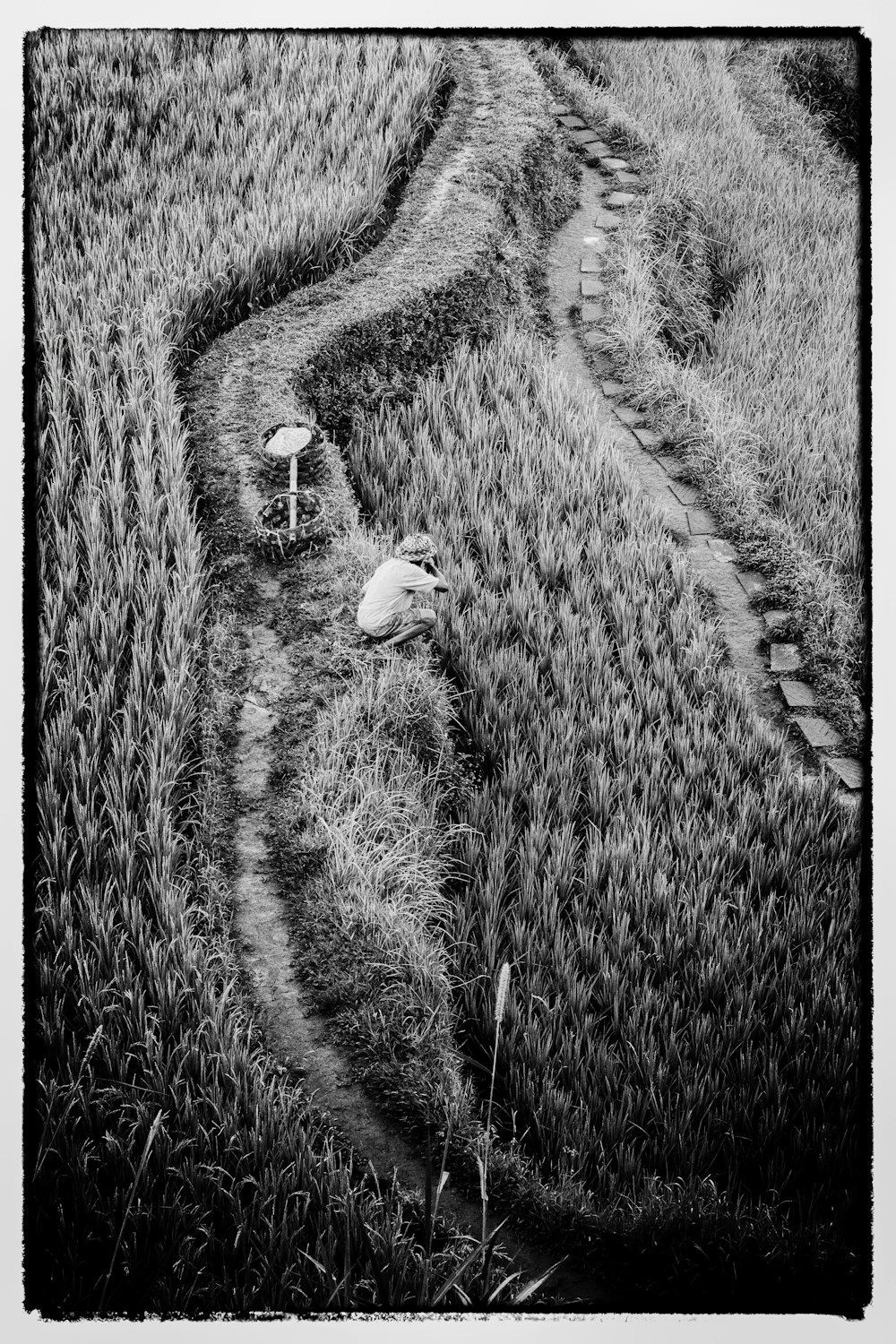 grayscale photo of farmer