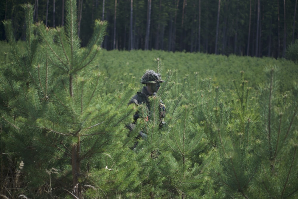 soldier man standing near pine trees
