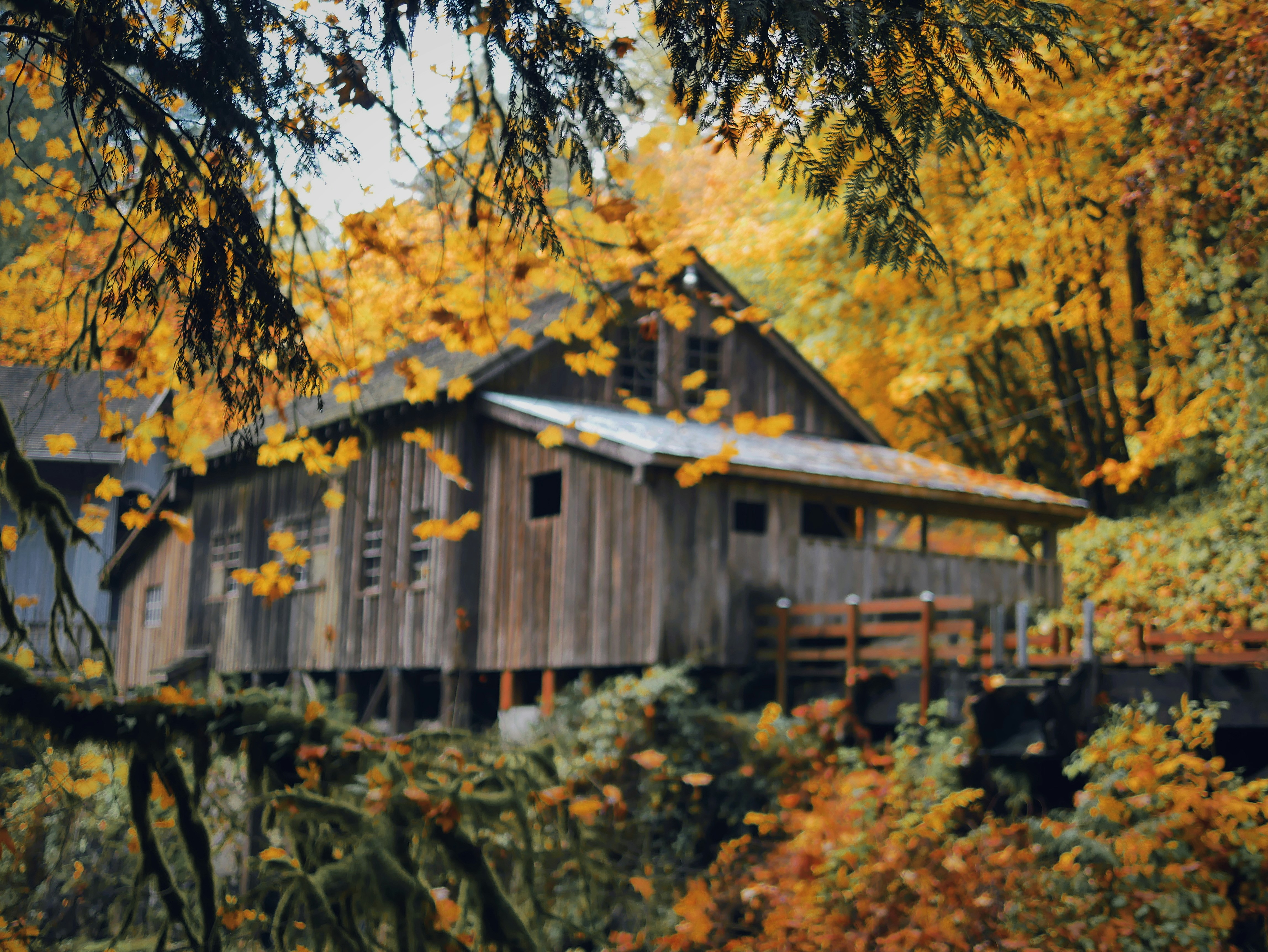 Photo by alekskuprfilmz