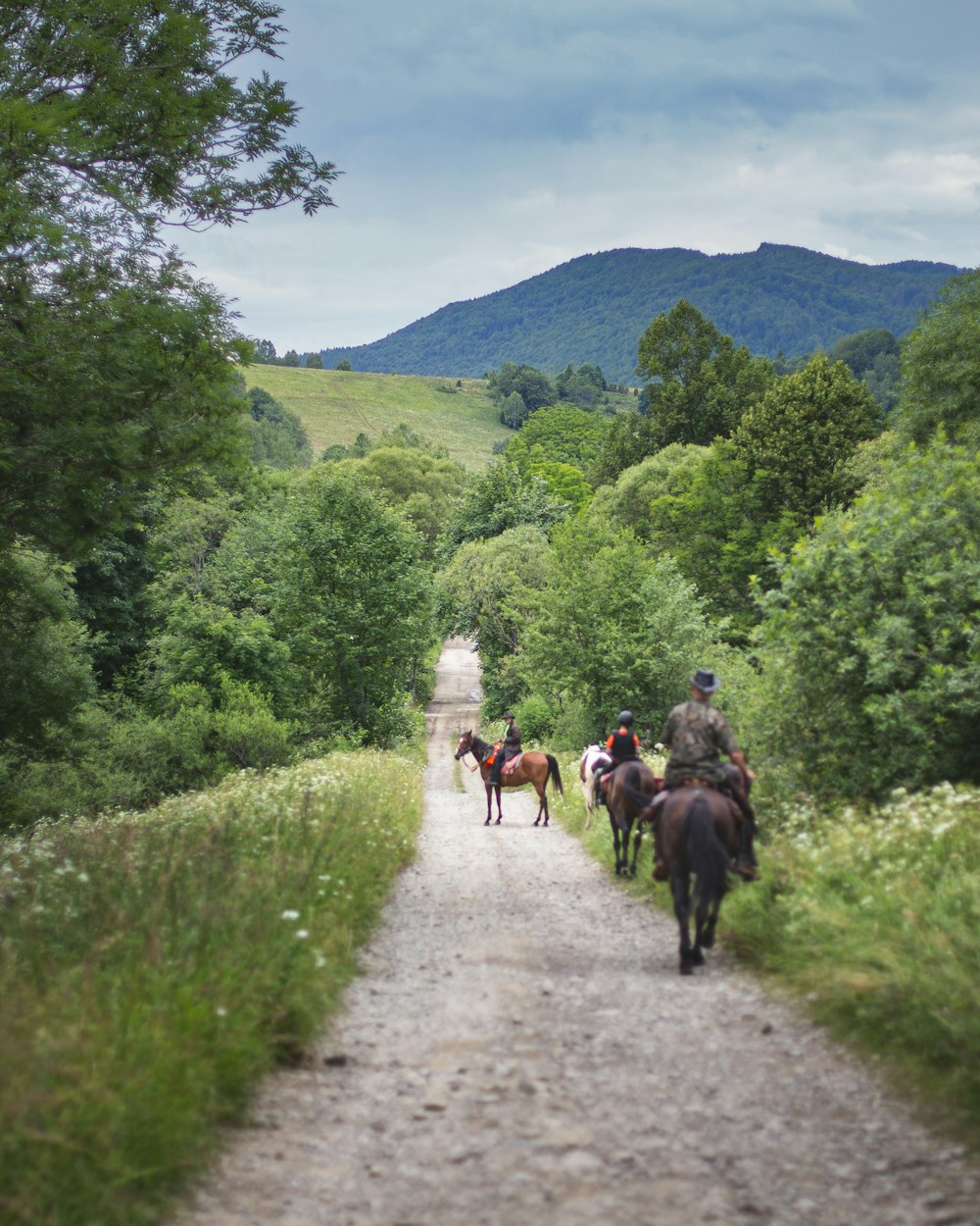 people riding horses on road during daytime