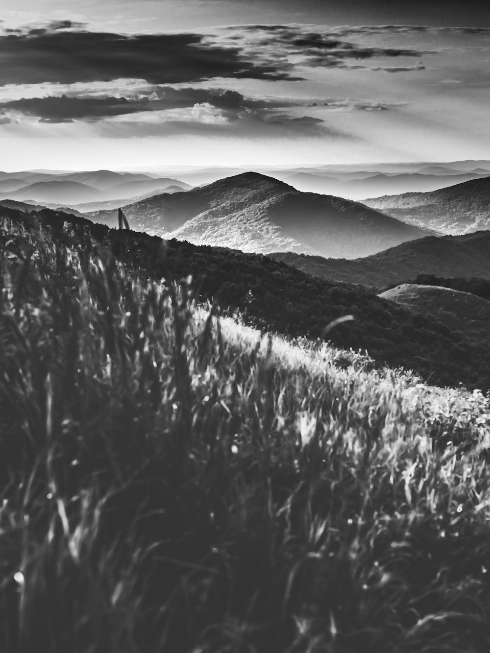 Foto in scala di grigi della catena montuosa