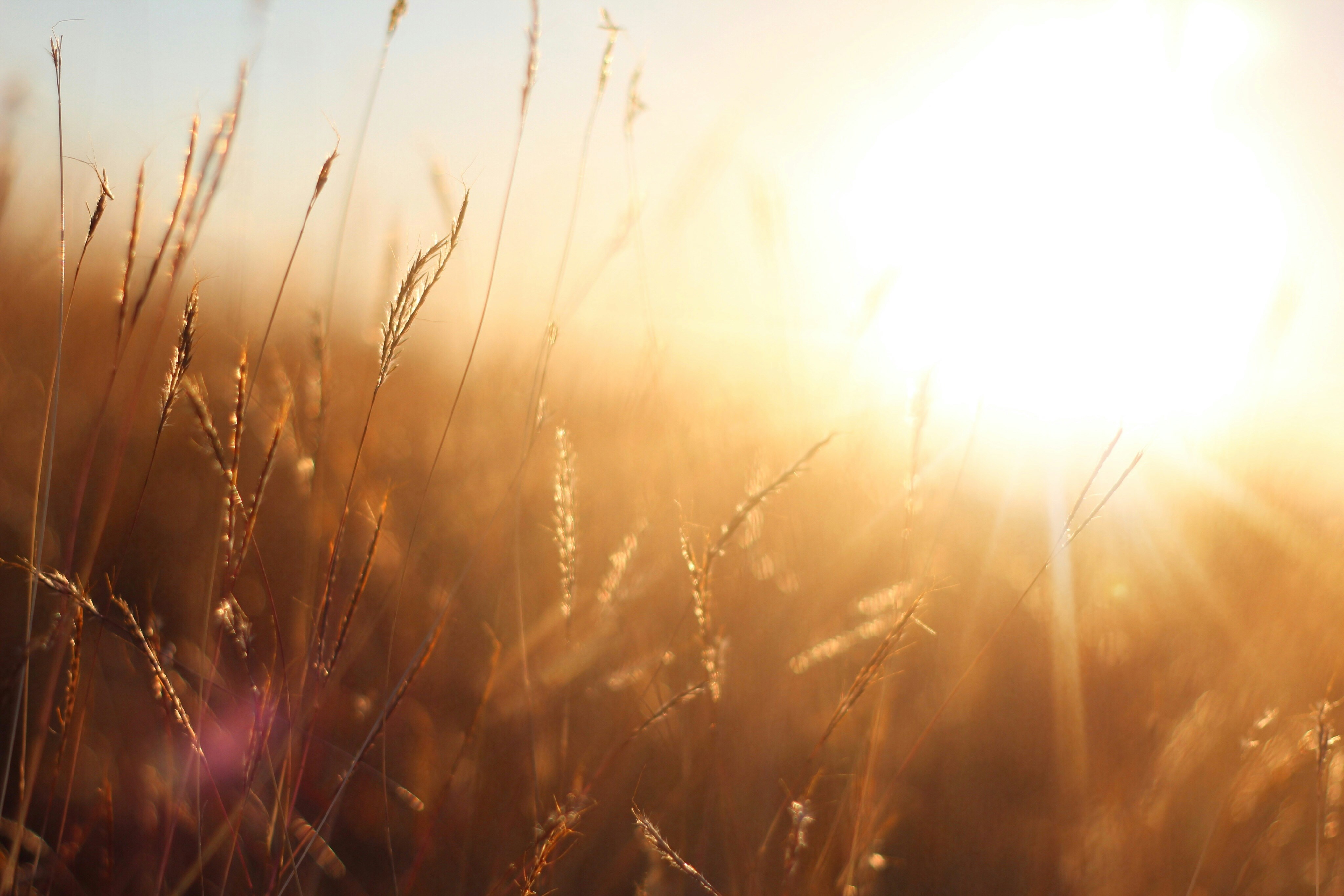 Photo by fallonmichaeltx