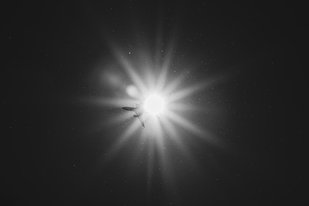 a black and white photo of the sun in the sky
