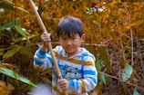 A young child stands in a natural setting, surrounded by lush, golden-yellow foliage. The child is wearing a striped hooded sweatshirt with white, blue, and yellow colors and is holding a wooden stick with both hands. The expression on the child's face is one of curiosity and engagement.