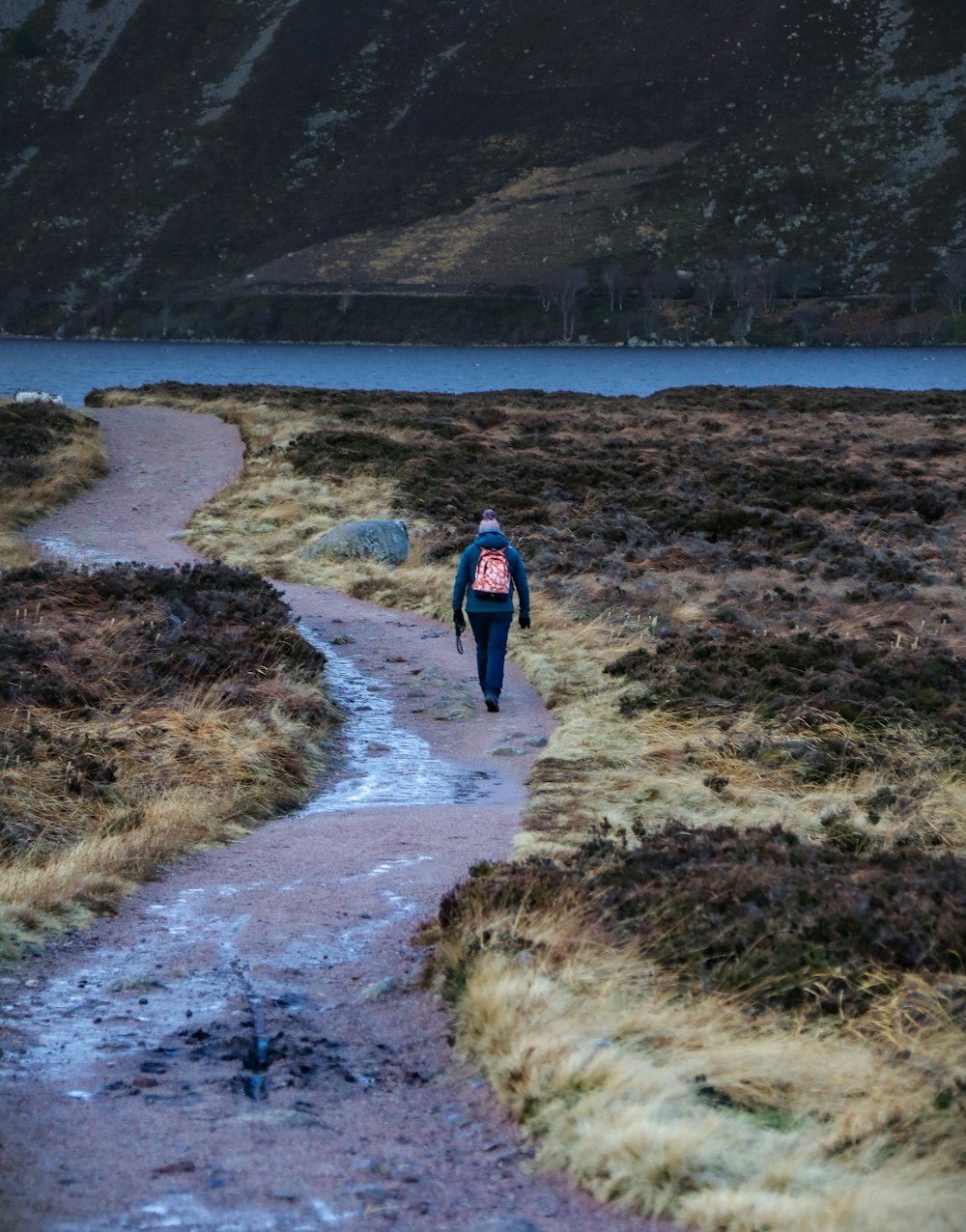 woman walking on street in between of grass field