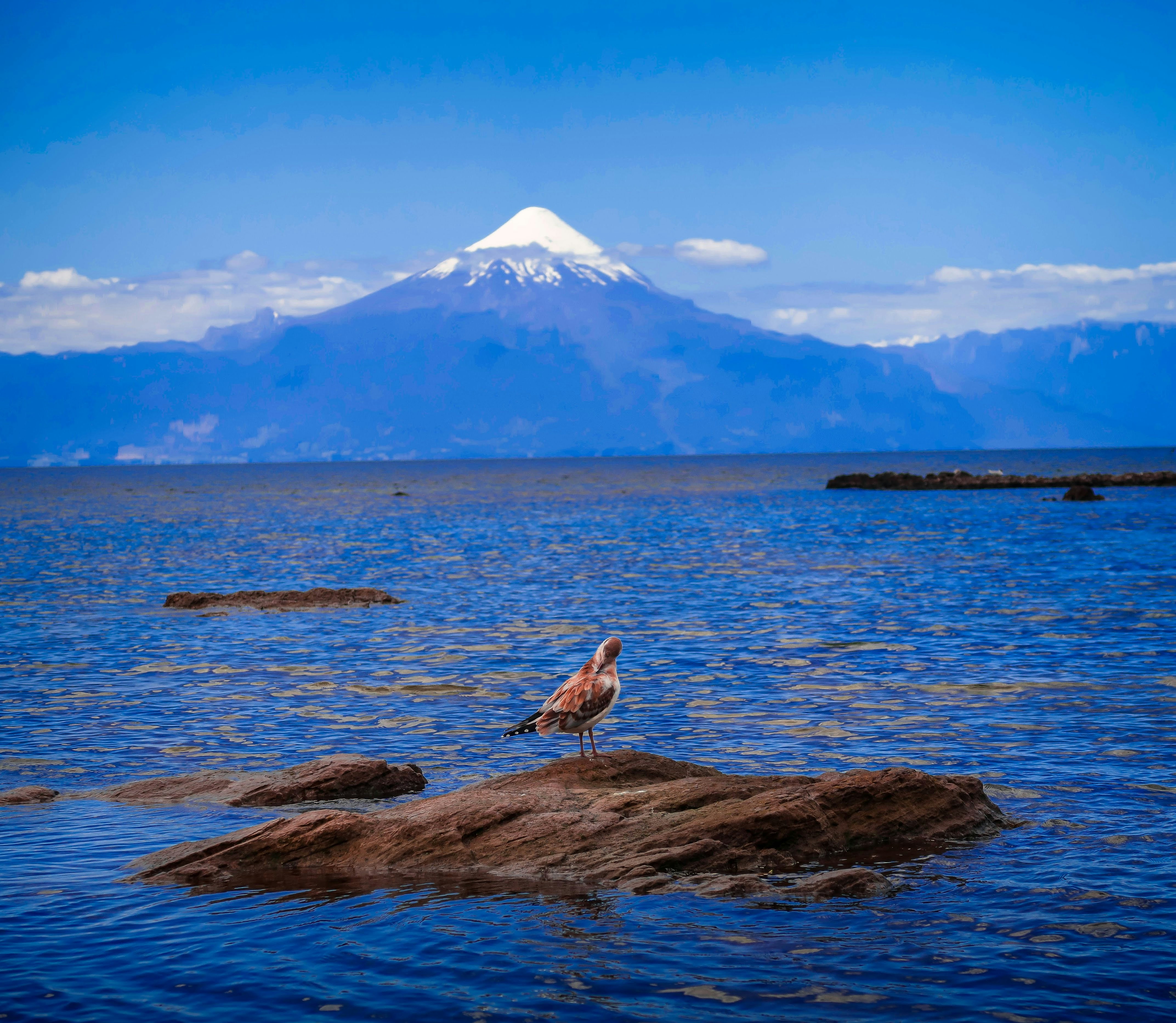 富士山の写真 Unsplashで見つけるオソルノ火山の無料写真