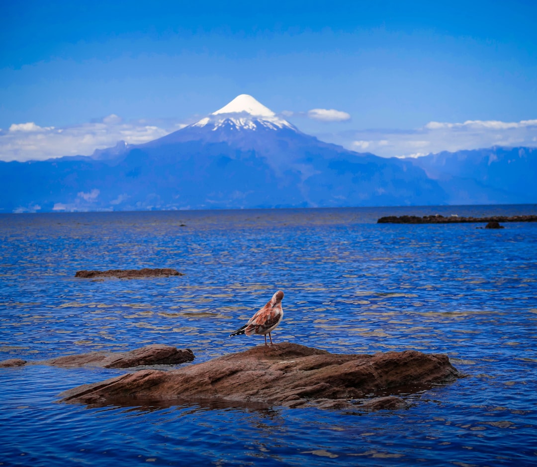 Ocean photo spot Frutillar Bajo Chile