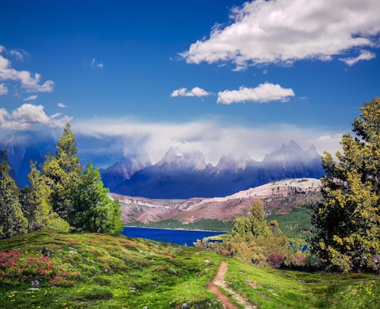 green grass field near body of water in Neuquén Argentina