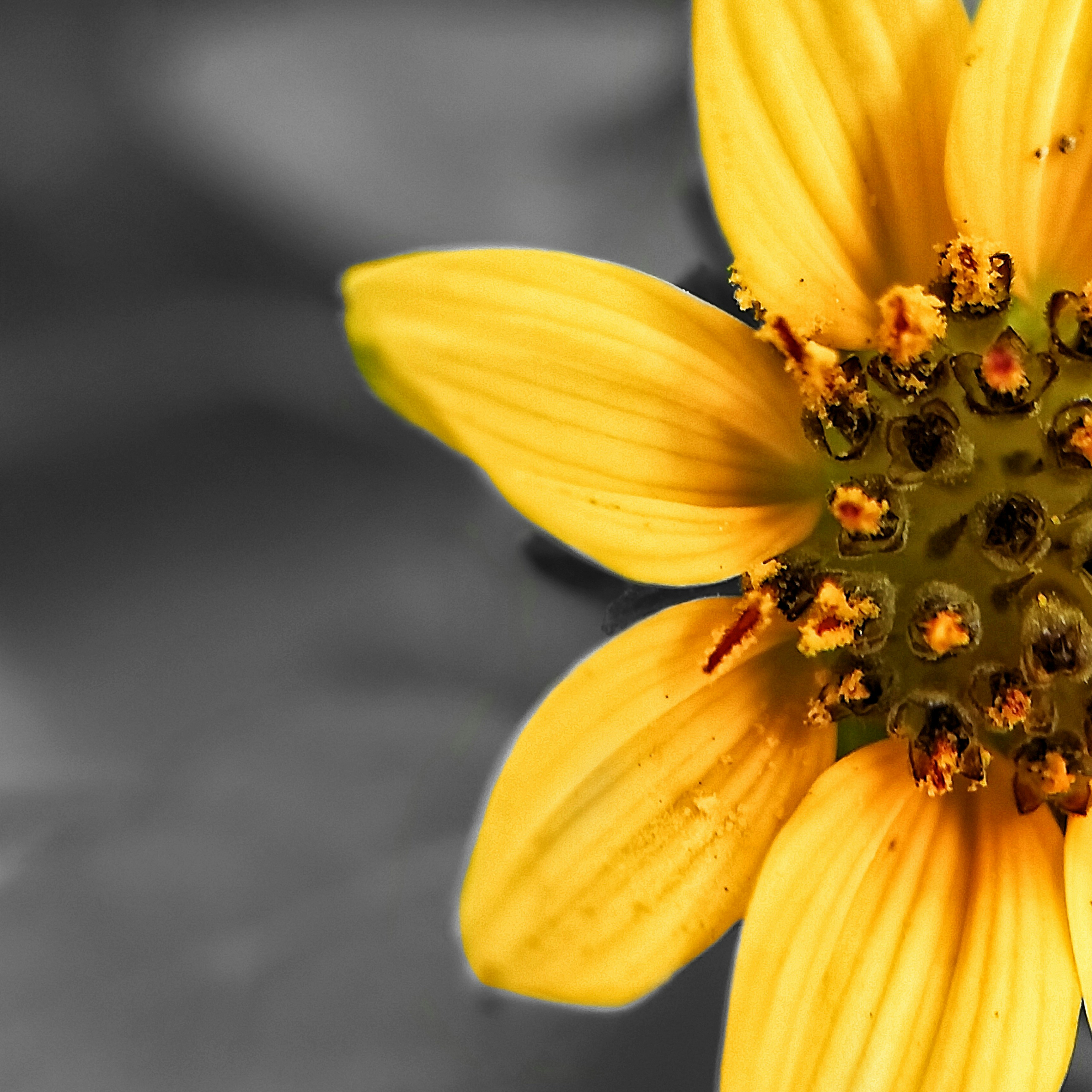 Photo by baibhab_photography99