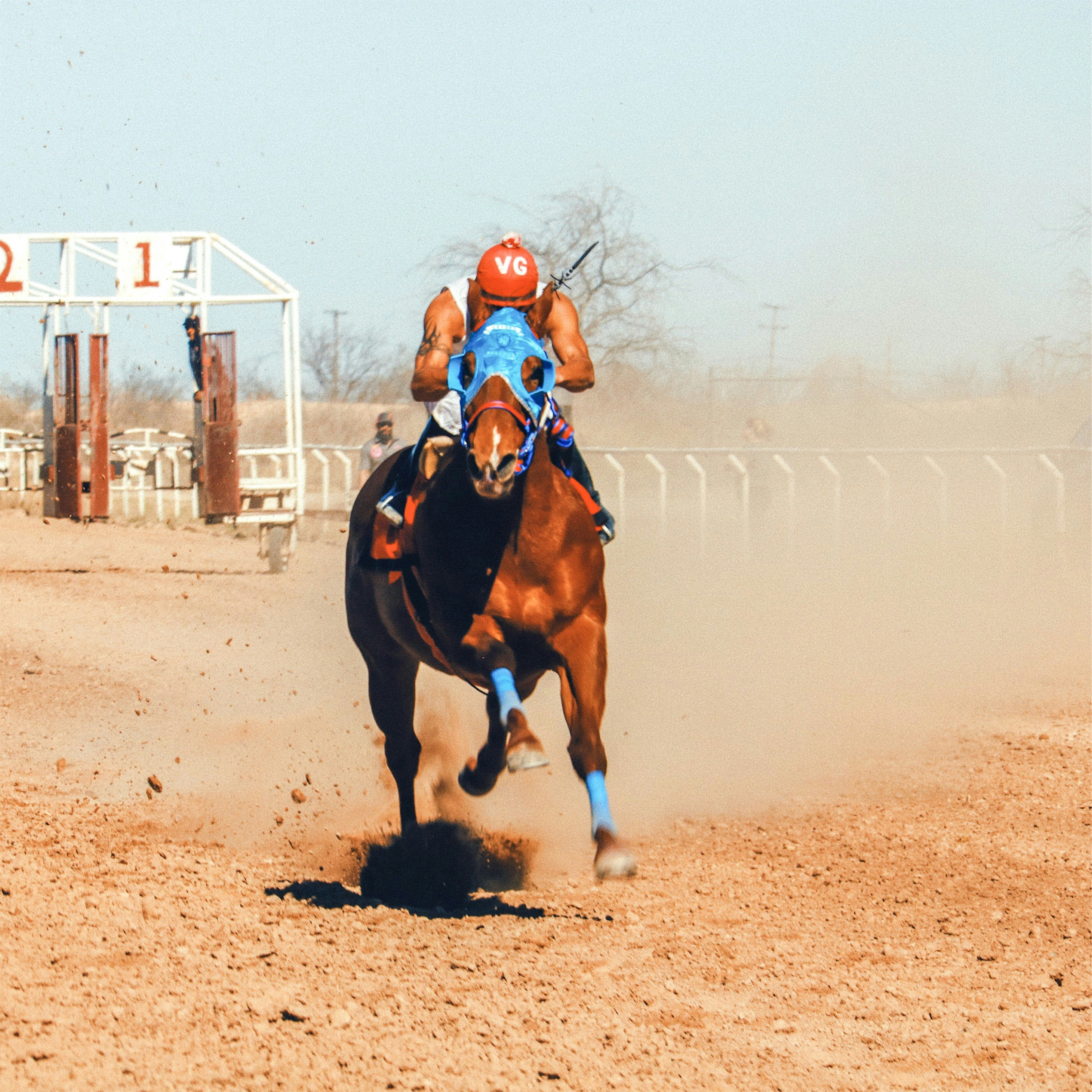brown horse running on brown field during daytime
