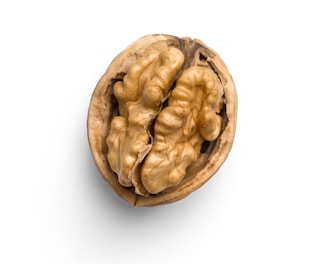 a whole walnut on a white background