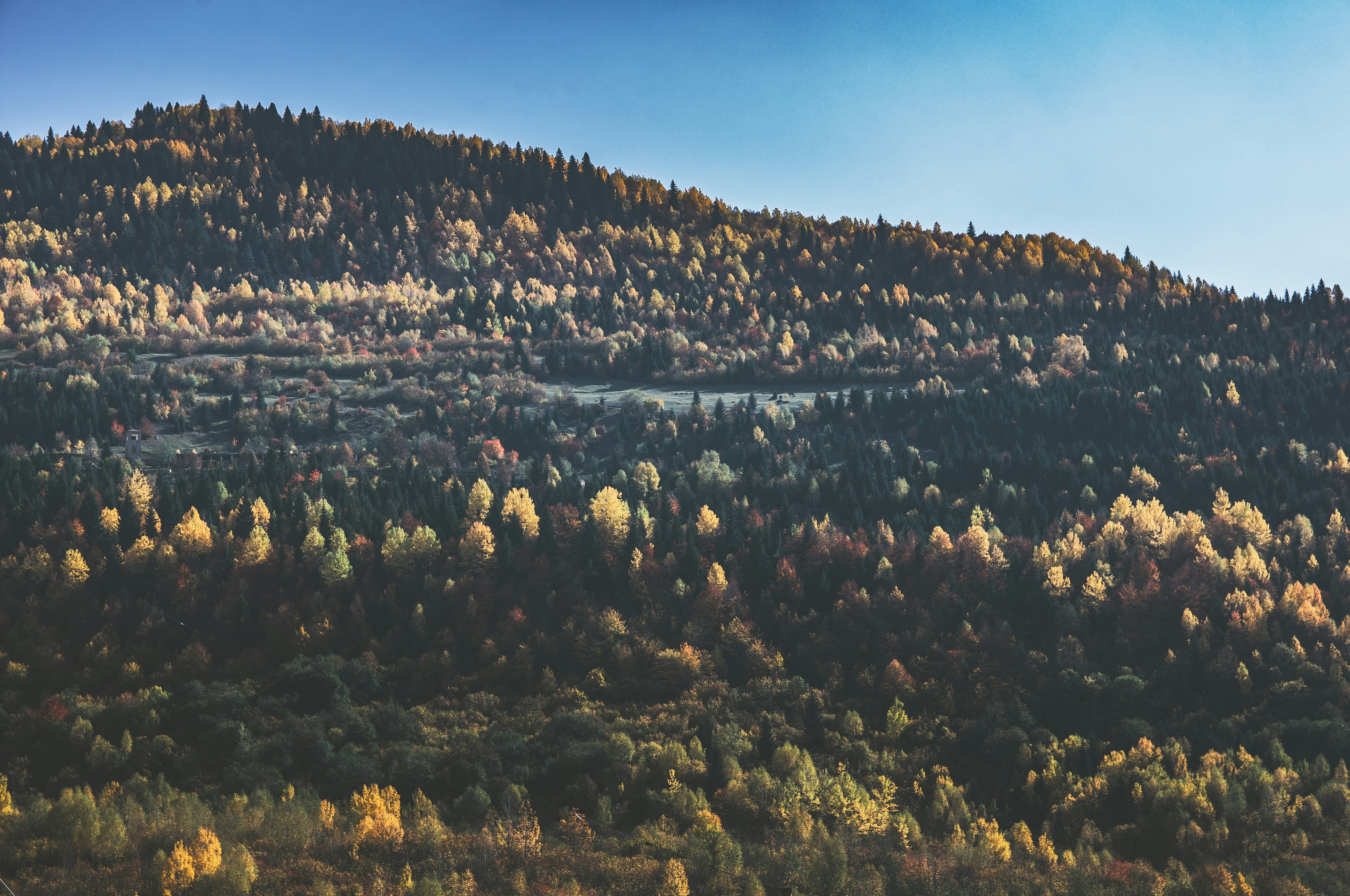 Photo by marekpiwnicki