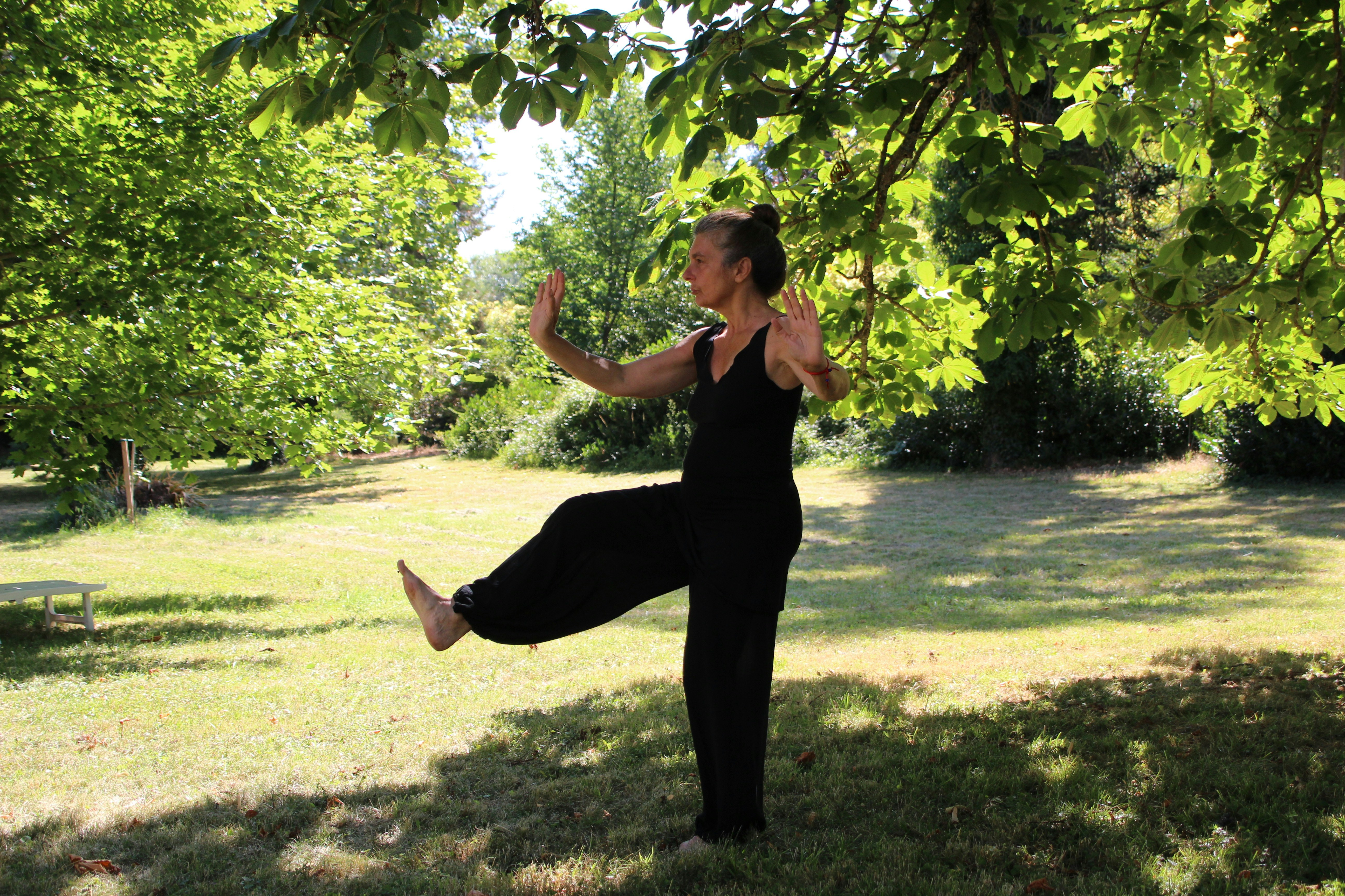 Words to Breathe By: Tai Chi and Qi Gong The Six Healing Sounds