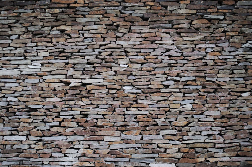 parede de tijolos castanhos e brancos