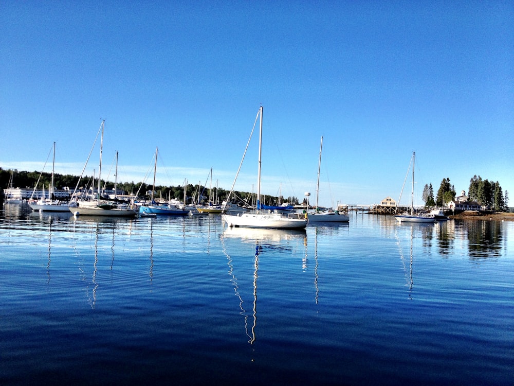 white sail boats on sea during daytime