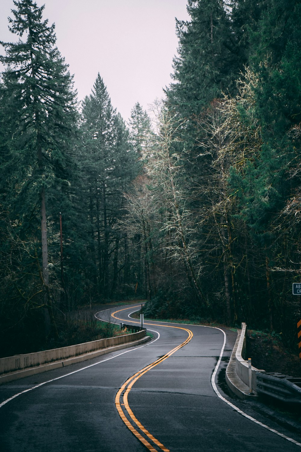 gray concrete road between green trees during daytime