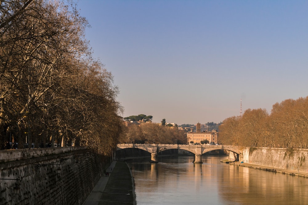 brown concrete bridge over river