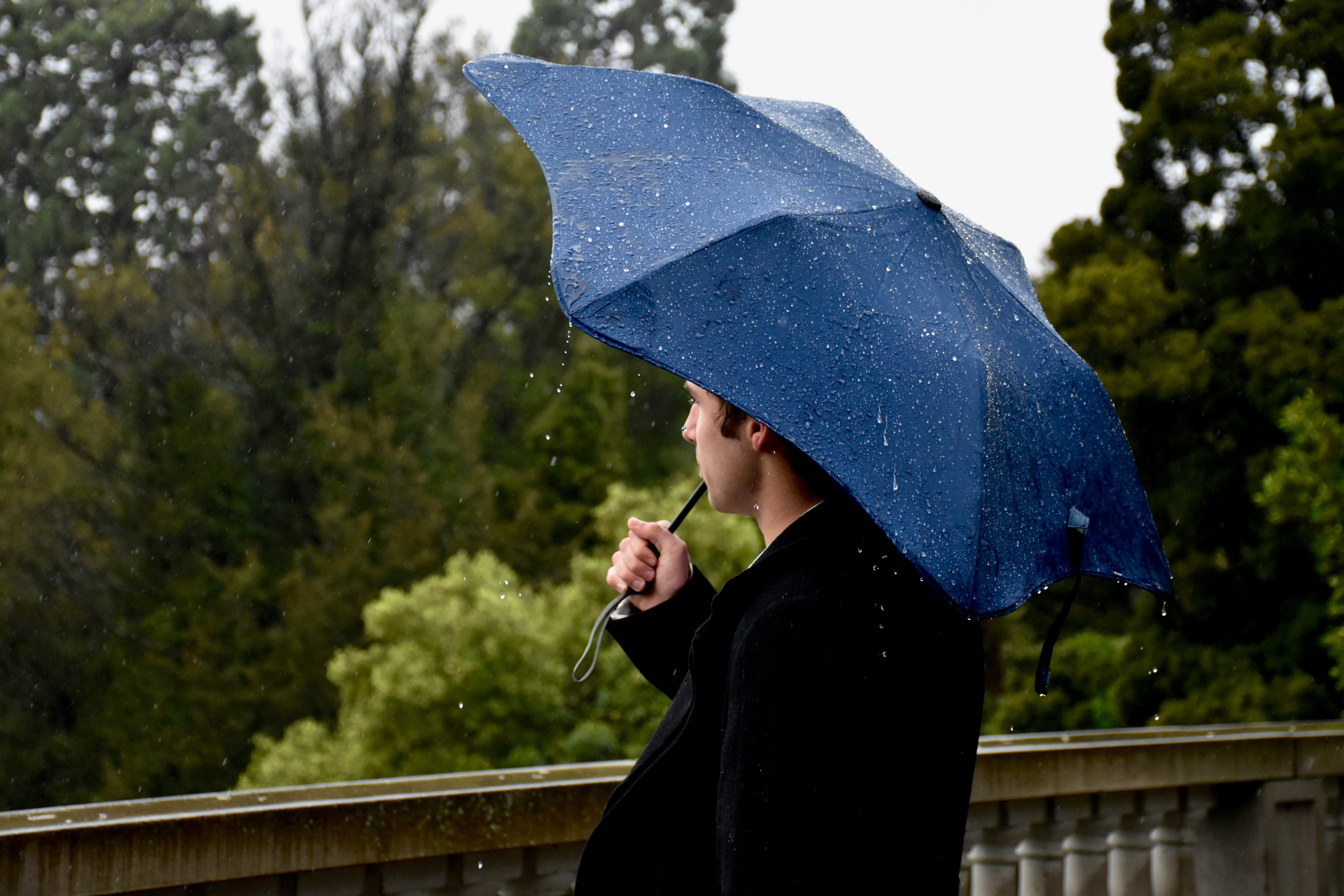 Person in black coat holding blue umbrella photo Free Dunedin Image