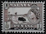 A vintage postage stamp featuring the profile of a woman wearing a crown on the right side. To the left, a scene depicting a rice field is illustrated with a person working alongside a water buffalo. The word 'MALAYA' is displayed prominently at the top, and 'PENANG' is at the bottom, with a value of '1 Cents' on the top left corner. It also includes scripts in Arabic and a coat of arms with a palm tree emblem.