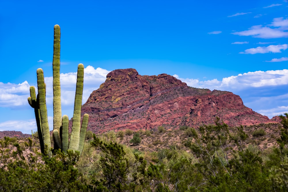 brown rock formation under blue sky during daytime