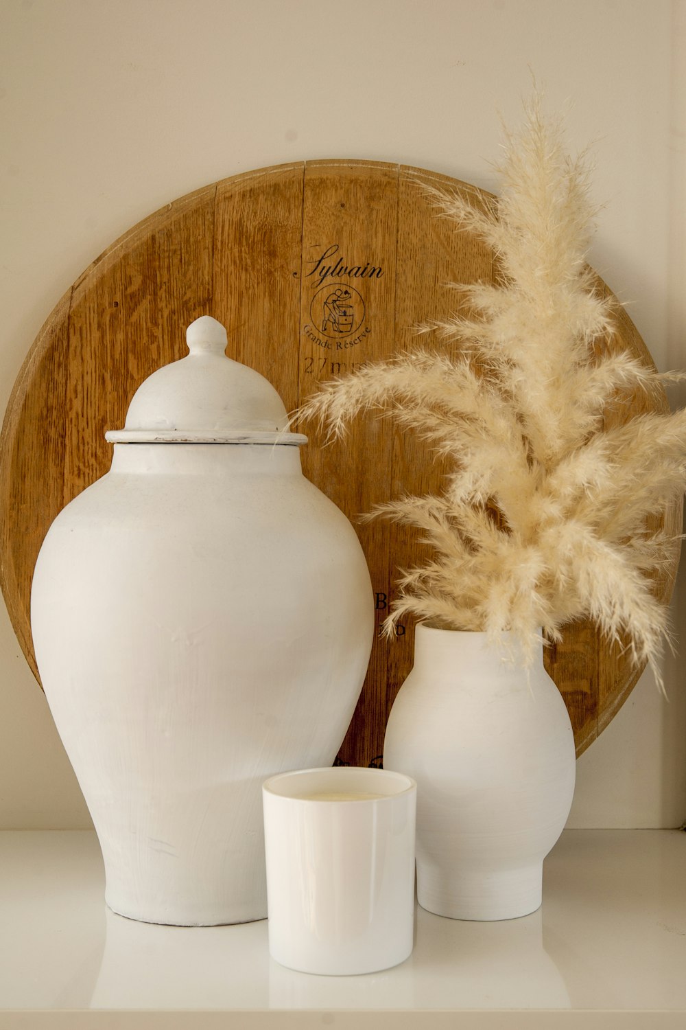 weiße und braune Pflanze in weißer Keramikvase