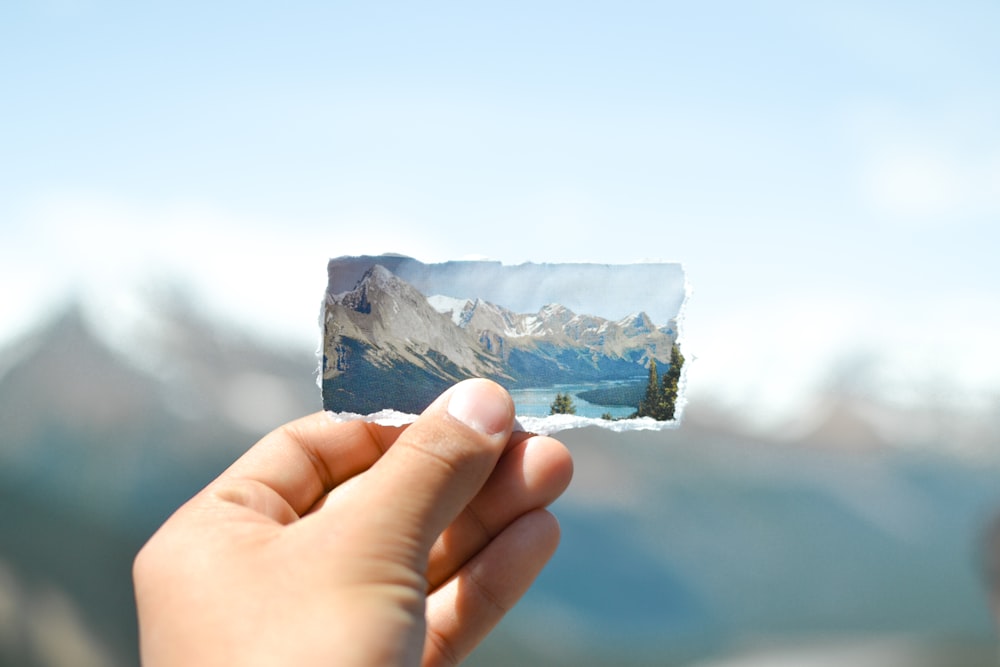 person holding white and blue stone