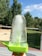 A clear ice pop with visible ice crystals is held in a hand against a backdrop of a sunny garden. The handle and base of the ice pop are bright green. The background features green trees and a partly cloudy blue sky.