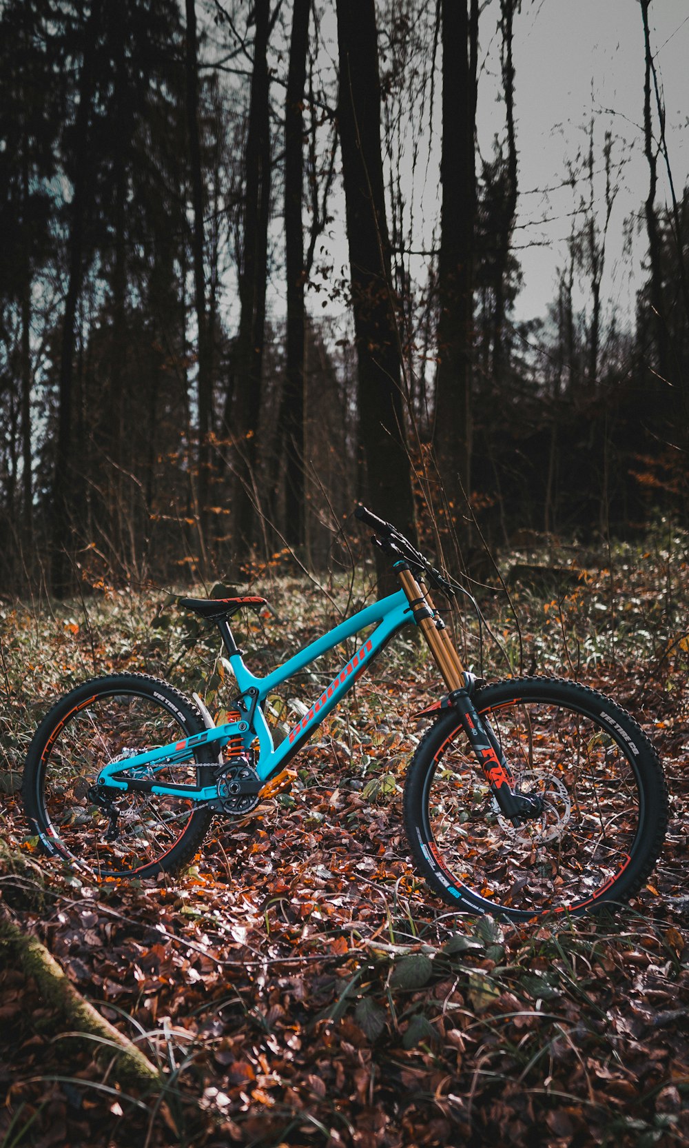 blue and black bmx bike on forest during daytime