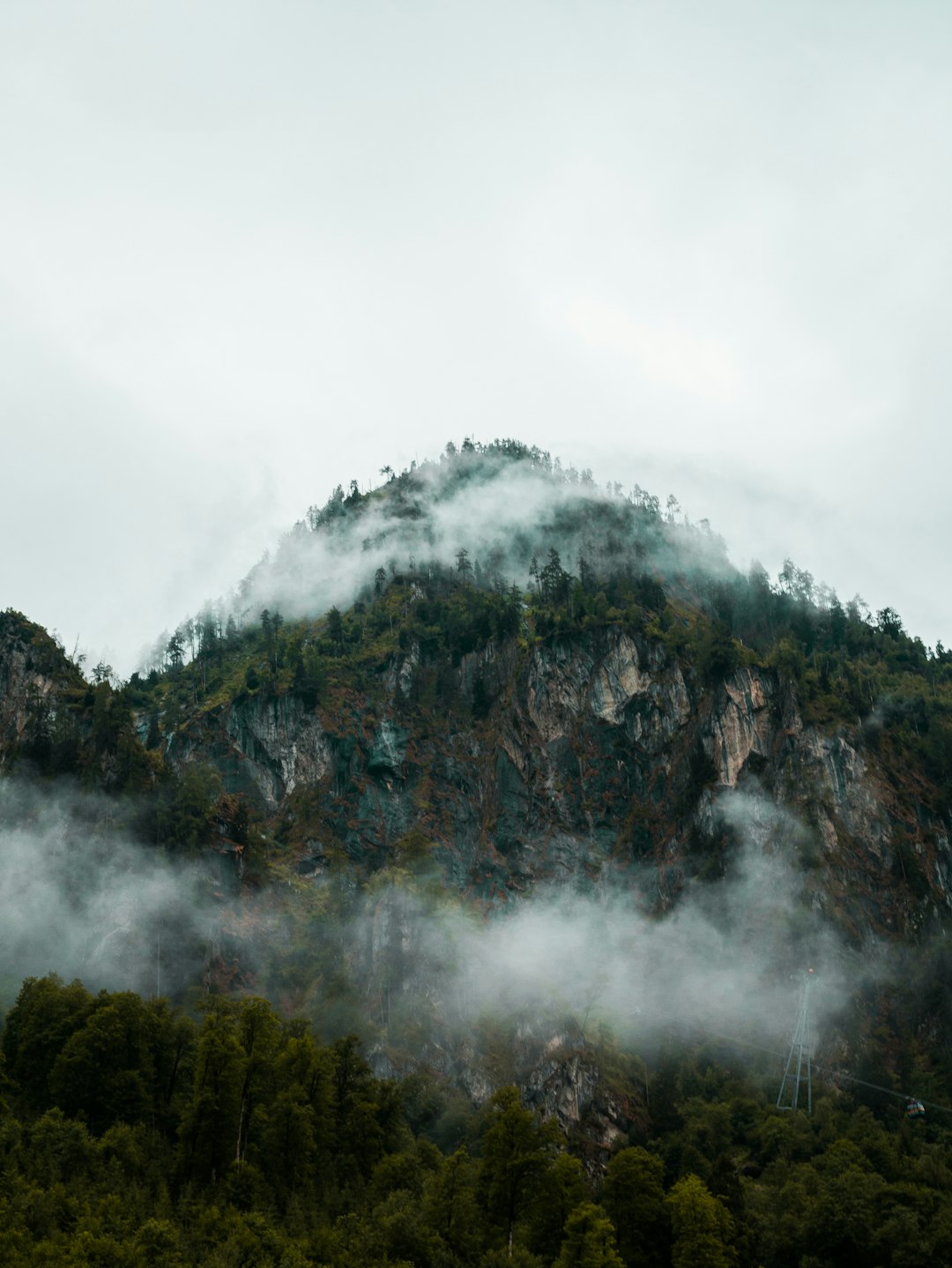 green trees on mountain under white clouds during daytime